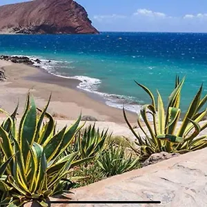 https://sol-mar-el-medano-tenerife.tenerifehoteles.net